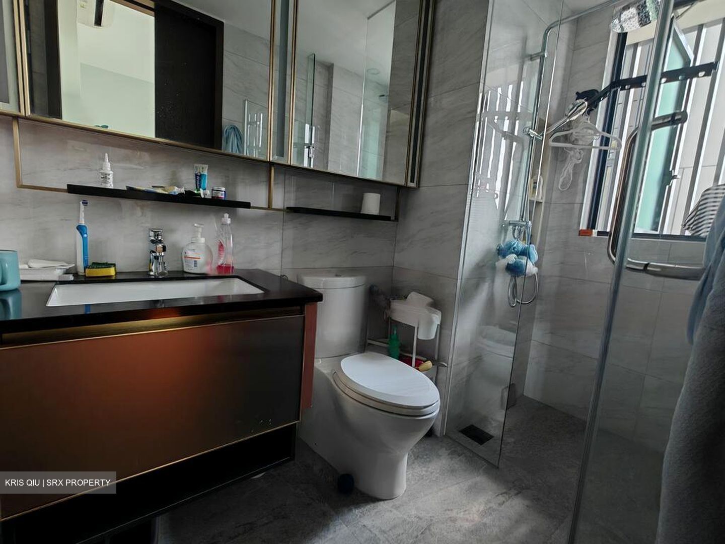 Normanton Park (D5), Apartment #461360501